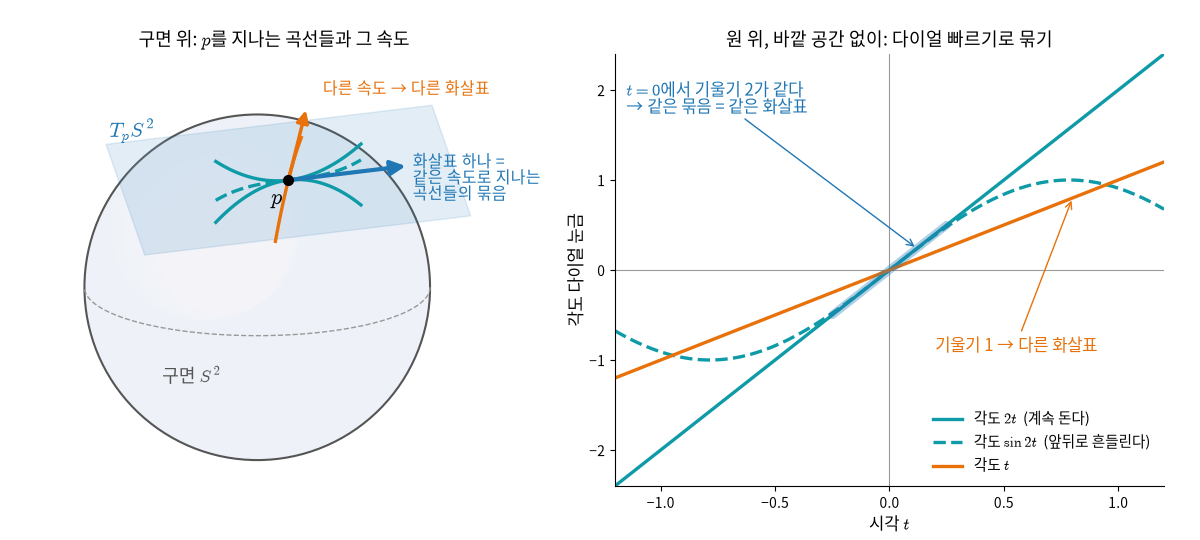 접선벡터 = 같은 속도로 지나는 곡선들의 묶음 — 왼쪽: 구면 위 점 p를 지나는 모양이 다른 곡선 셋(청록)이 p에서 같은 속도로 지나가 화살표 하나로 묶이고, 속도가 다른 곡선(주황)은 다른 화살표가 된다. 이 화살표들이 모인 평면이 접선공간이다. 오른쪽: 바깥 공간 없이 원의 각도 다이얼만으로 보면, 각도 2t와 sin 2t는 t=0에서 기울기가 둘 다 2라 같은 화살표이고, 각도 t는 기울기 1이라 다른 화살표다