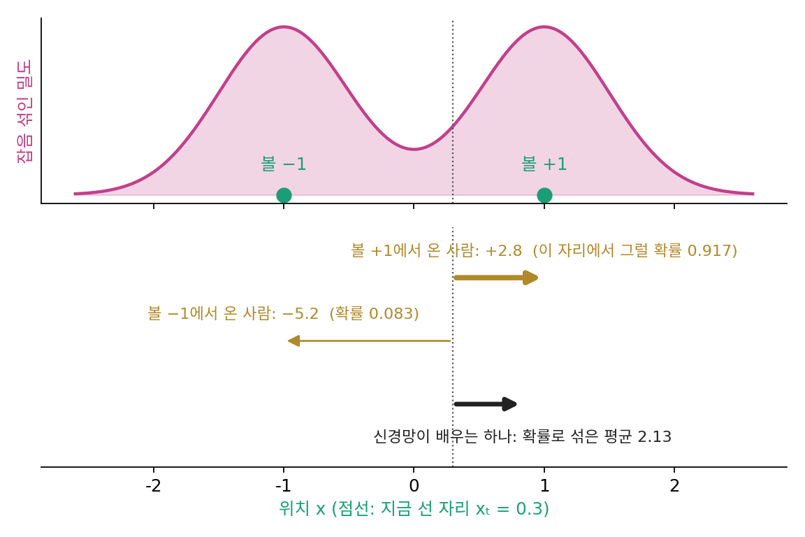 데이터가 −1과 +1 두 점(반반)이고 잡음 σ = 0.5일 때, 자리 0.3에 선 사람에게 맞는 바늘 둘과 신경망이 배우는 바늘 하나. 볼 +1에서 온 사람의 바늘은 +2.8(그 자리에서 그럴 확률 0.917, 굵은 화살표), 볼 −1에서 온 사람의 바늘은 −5.2(확률 0.083). 화살표 길이는 바늘 값의 0.25배로 그렸다.