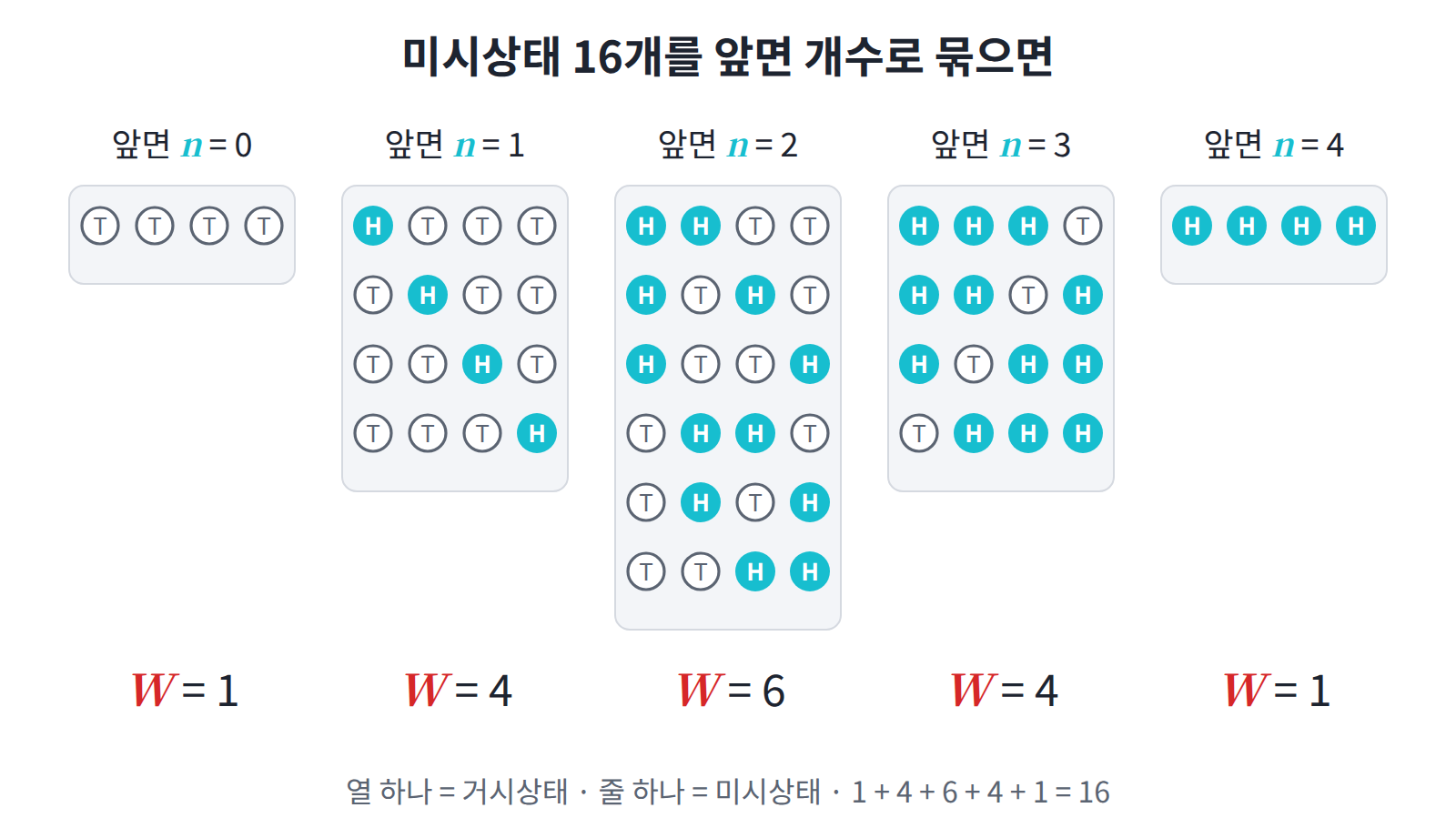 동전 4개의 미시상태 16개를 앞면 개수(거시상태)로 묶은 그림. 열마다 들어 있는 줄의 수가 경우의 수 W다.
