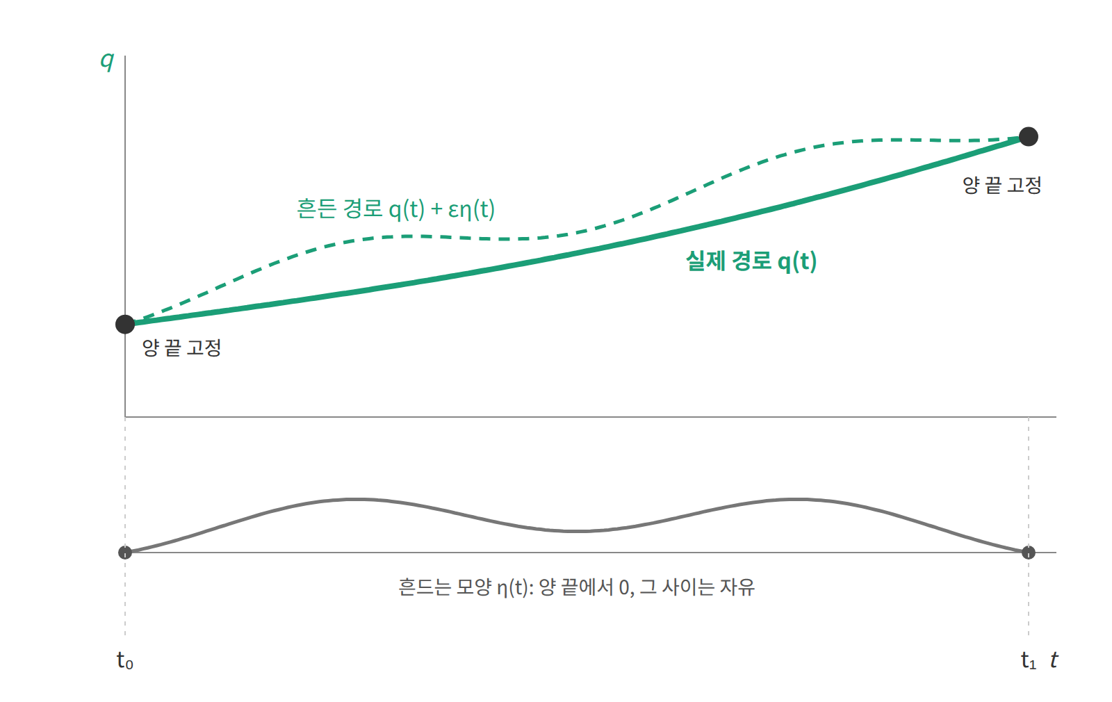 실제 경로 q(t)와 양 끝을 고정한 채 흔든 경로 q(t) + εη(t). 흔드는 모양 η(t)는 양 끝에서만 0이면 되고, 그 사이는 마음대로 고를 수 있다.