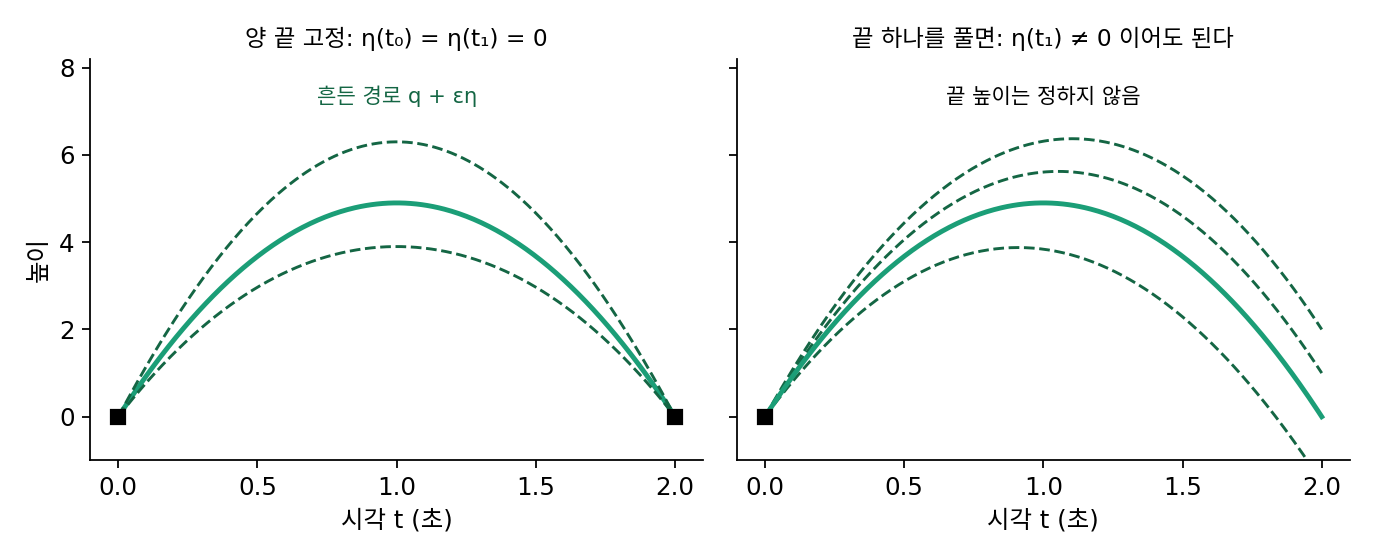 왼쪽: 양 끝을 고정한 채 흔든 경로들. 오른쪽: 0초의 높이만 고정하고 2초의 높이는 풀어 준 경로들