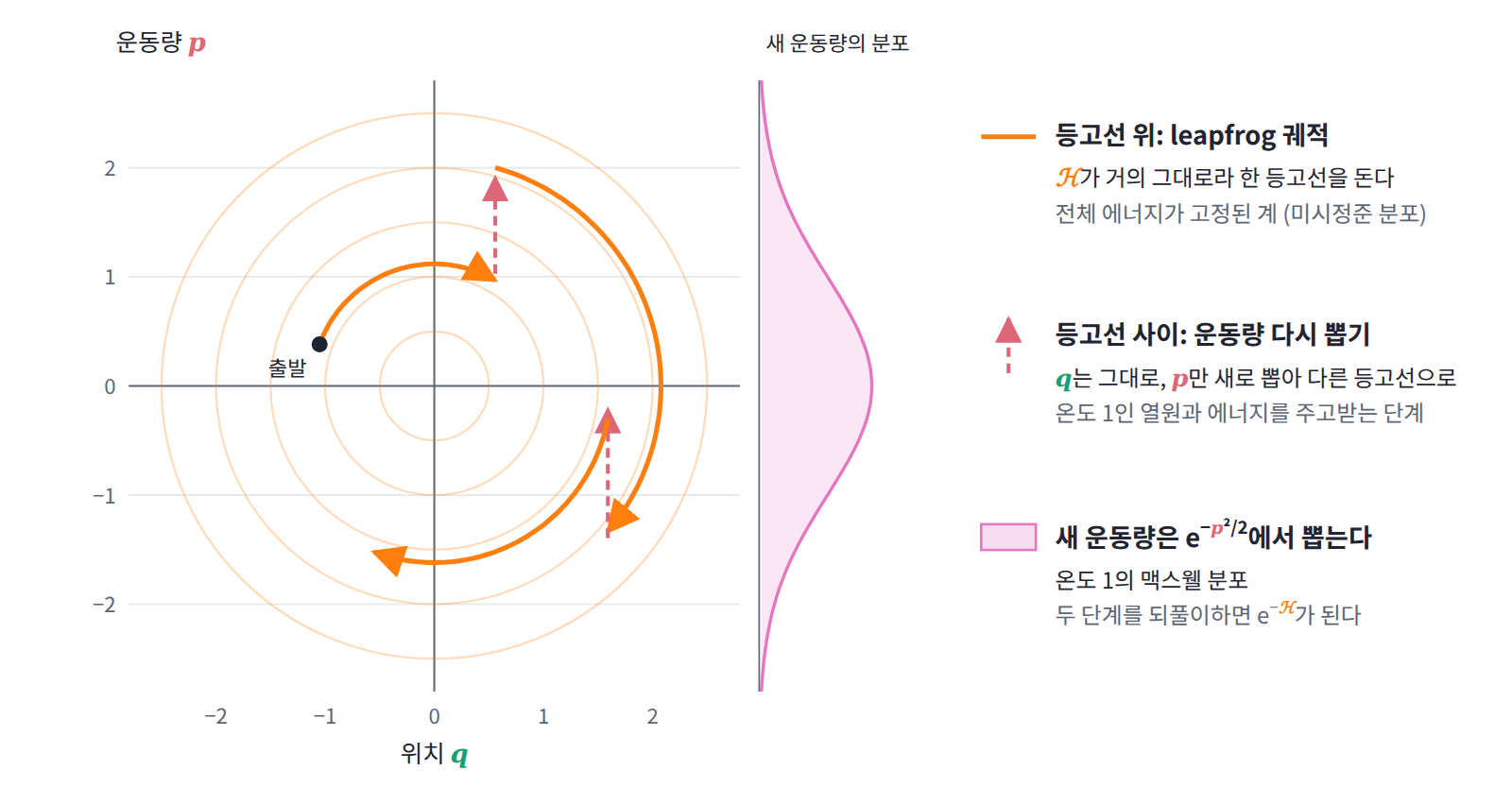 HMC 한 번의 갱신을 위상 평면에서 본 것. leapfrog 궤적은 에너지 등고선 하나를 따라 돌고(미시정준 분포), 운동량을 새로 뽑는 순간 위치는 그대로인 채 다른 등고선으로 옮겨 간다(온도 1인 열원과 에너지를 주고받음).