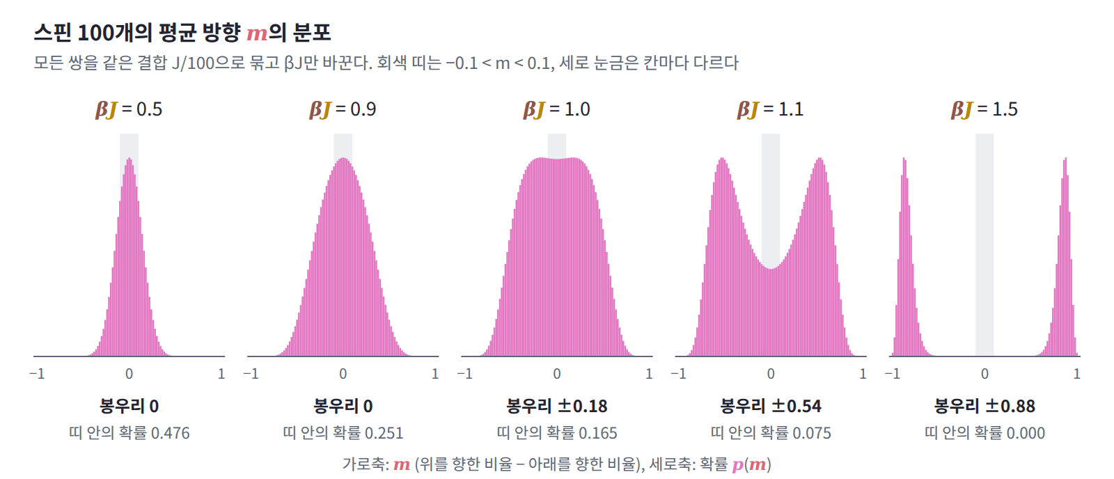 모든 쌍을 같은 결합 J/100으로 묶은 스핀 100개의 평균 방향 m의 분포를 정확히 센 것. βJ = 0.5, 0.9에서는 봉우리가 0에 있고, 1.0에서 꼭대기가 평평해진 뒤 1.1이면 ±0.54, 1.5이면 ±0.88로 갈라진다. 회색 띠(−0.1 < m < 0.1)의 확률은 0.476, 0.251, 0.165, 0.075, 0.000이다.