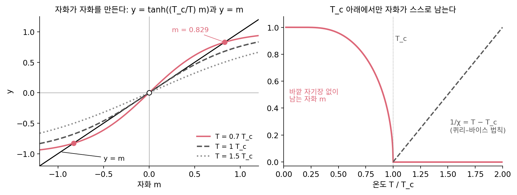 바이스의 분자장 가정에서 자화가 자화를 만드는 조건을 원자 자석이 두 방향만 갖는 가장 단순한 꼴 m = tanh((T_c/T) m)로 계산하면, T_c 아래(T = 0.7 T_c)에서만 곧은 선과 곡선이 0 밖의 점 m = 0.829에서 만나 바깥 자기장 없이 자화가 남고(왼쪽·오른쪽 실선), T_c 위에서는 자화율의 역수가 T − T_c에 비례한다(오른쪽 파선, 퀴리–바이스 법칙). 바이스는 고전적인 랑주뱅 함수를 썼고, 이 그림은 같은 생각을 tanh로 줄여 직접 계산해 그렸다.