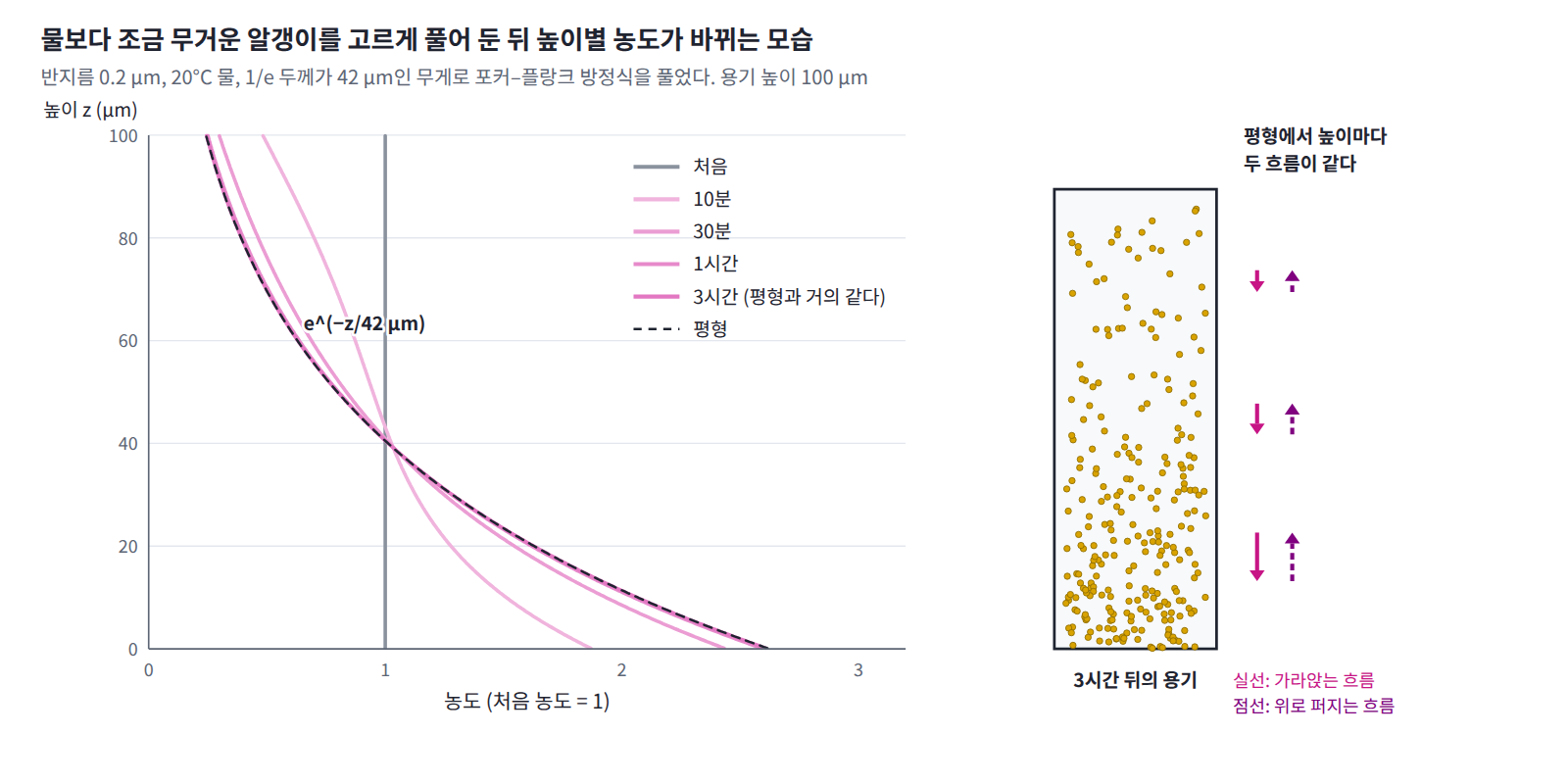 물보다 조금 무거운 알갱이(반지름 0.2 μm, 20°C 물)를 높이 100 μm 용기에 고르게 풀어 두었을 때의 농도. 알갱이는 바닥에 모두 쌓이지 않고, 3시간쯤 지나면 가라앉는 흐름과 위로 퍼지는 흐름이 높이마다 같아지는 층 e^(−z/42 μm)에 이른다.