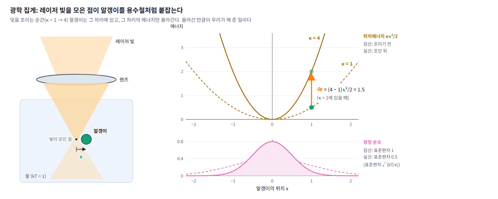광학 집게의 용수철 덫. 알갱이가 x = 1에 있을 때 κ를 1에서 4로 한순간에 올리면 그 자리의 에너지가 0.5에서 2로 올라가고, 그 차이 1.5가 일 𝒲다. 평형 분포의 표준편차 √(kT/κ)는 1에서 0.5로 좁아진다.