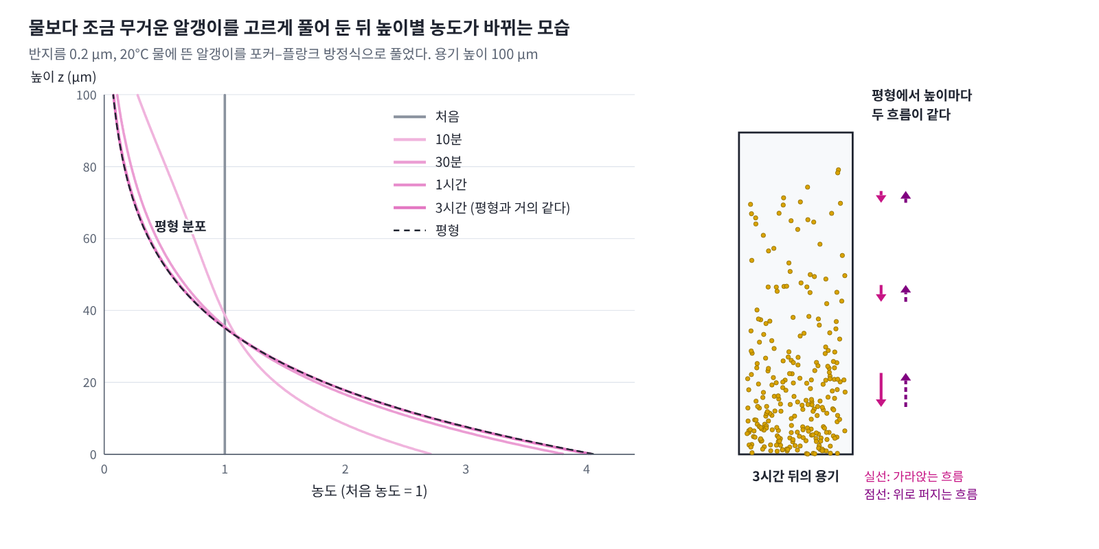 물보다 무거운 알갱이(반지름 0.2 μm, 20°C 물)를 높이 100 μm 용기에 고르게 풀어 두었을 때의 농도를 포커–플랑크 방정식으로 푼 것. 알갱이는 바닥에 모두 쌓이지 않고, 3시간쯤 지나면 가라앉는 흐름과 위로 퍼지는 흐름이 높이마다 같아지는 층에 이른다. 그 층의 모양은 아래 문제 10에서 직접 구해 보자.