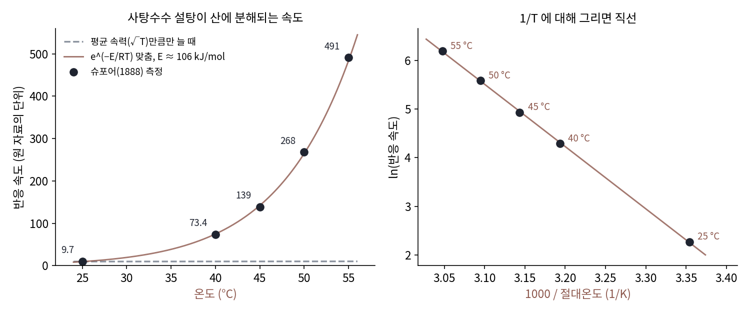 아레니우스가 1889년 논문에서 다시 따진 슈포어(1888)의 사탕수수 설탕 분해 속도. 25 °C에서 55 °C로 30도 오르는 동안 속도는 50배가 되었는데, 분자의 평균 속력(√T)만큼만 늘었다면 1.05배였다. ln(속도)를 1/T에 대해 그리면 직선에 놓이고, 직선의 기울기에서 E ≈ 106 kJ/mol을 얻는다. 측정값 출처: Spohr(1888), Arrhenius, Z. phys. Chem. 4, 226(1889)에 실린 표를 다시 그림