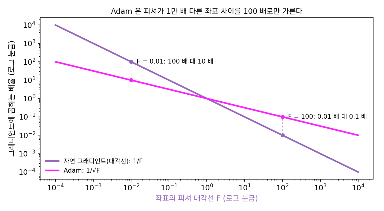 좌표의 피셔 대각선 F 에 따라 그래디언트에 곱하는 배율. 대각선 자연 그래디언트는 1/F(보라), Adam 은 1/√F(자홍)라, F 가 0.01과 100으로 1만 배 다른 두 좌표를 자연 그래디언트는 1만 배, Adam 은 100배로만 가른다. 킹마와 바가 「더 조심스럽다」고 한 차이다(직접 그림, sources/adaptive/h_history.py)