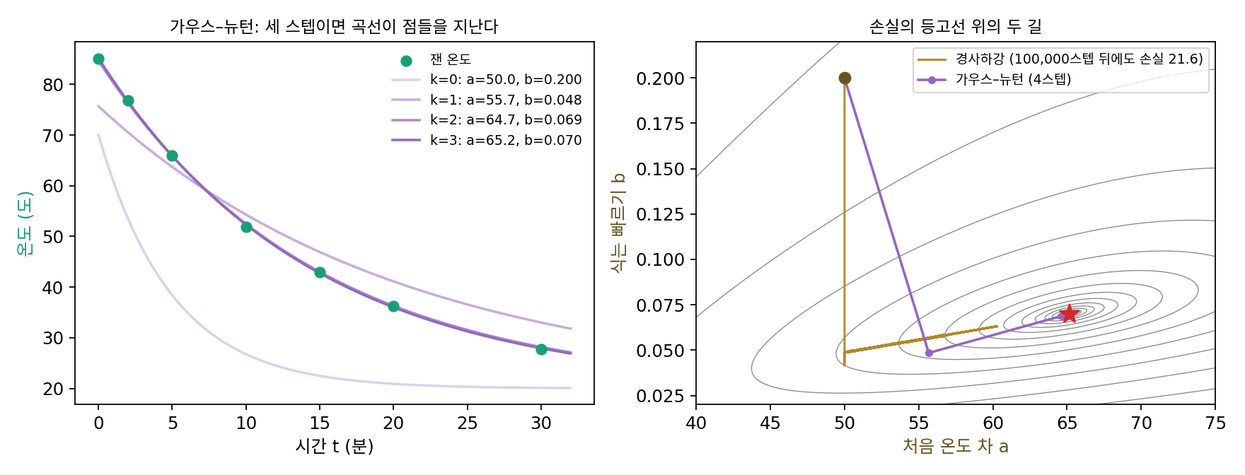 왼쪽: 잰 온도(초록 점)와 가우스–뉴턴의 스텝마다 맞춘 곡선. 오른쪽: 손실의 등고선 위에서 가우스–뉴턴의 길(보라)과 경사하강의 길(갈색). 경사하강은 가파른 b 방향으로 내려앉은 뒤 길쭉한 골짜기를 거의 나아가지 못한다(sources/curvature-approx/s2_gauss_newton.py)