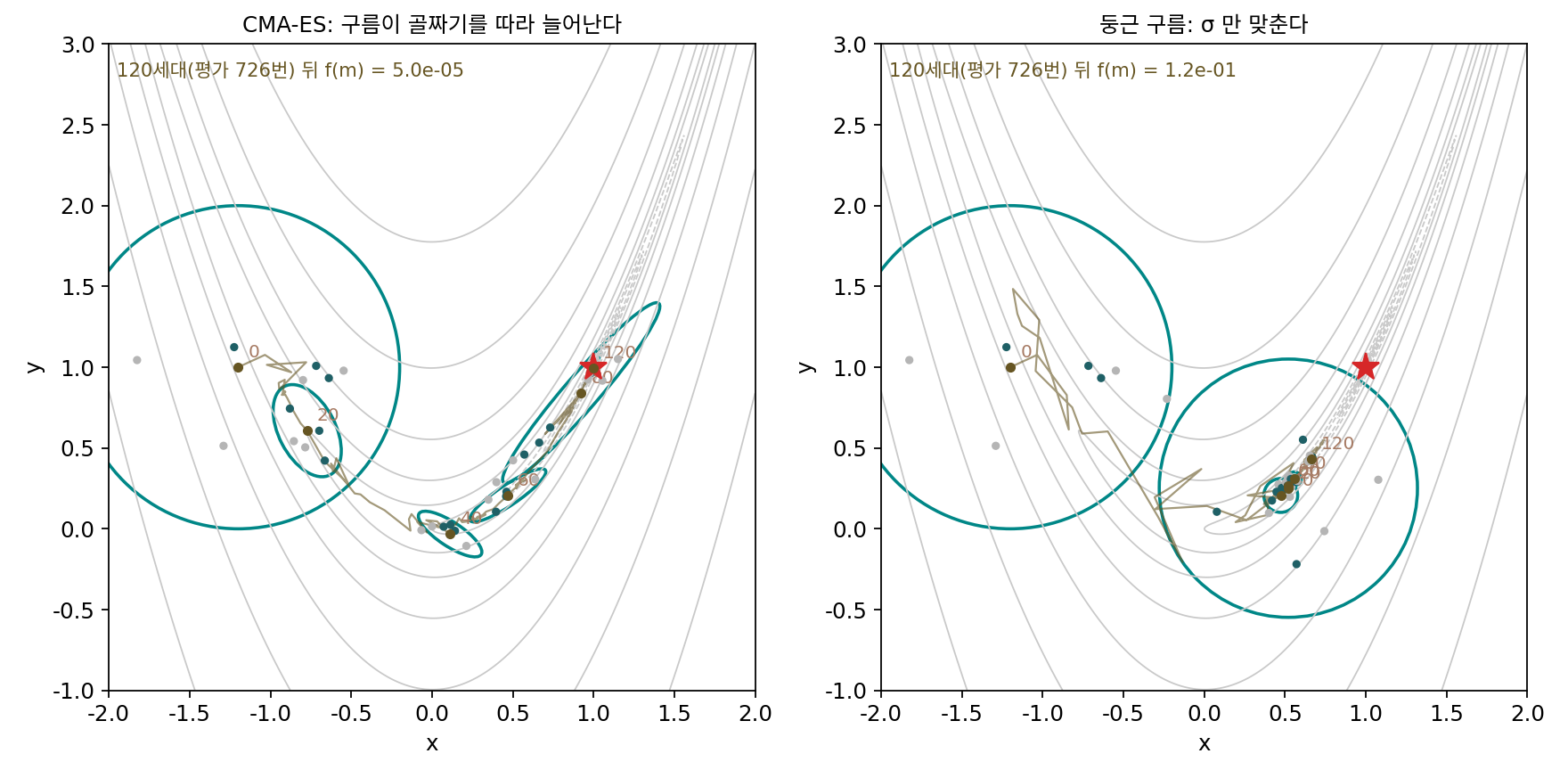 로젠브록 함수 위의 점 구름(씨앗 1, 출발 평균 (−1.2, 1), σ = 0.5). 0·20·40·60·80·120세대의 뿌린 점(진한 점 = 고른 셋), 평균, 2σ 타원을 겹쳐 그렸다. 왼쪽: CMA-ES는 구름이 골짜기를 따라 늘어나며 바닥(별표)에 닿는다. 오른쪽: σ만 맞추는 둥근 구름은 골짜기 폭에 맞춰 작아진 원으로 (0.5, 0.25) 근처에서 기어간다(sources/evolution/s3_cma.py)