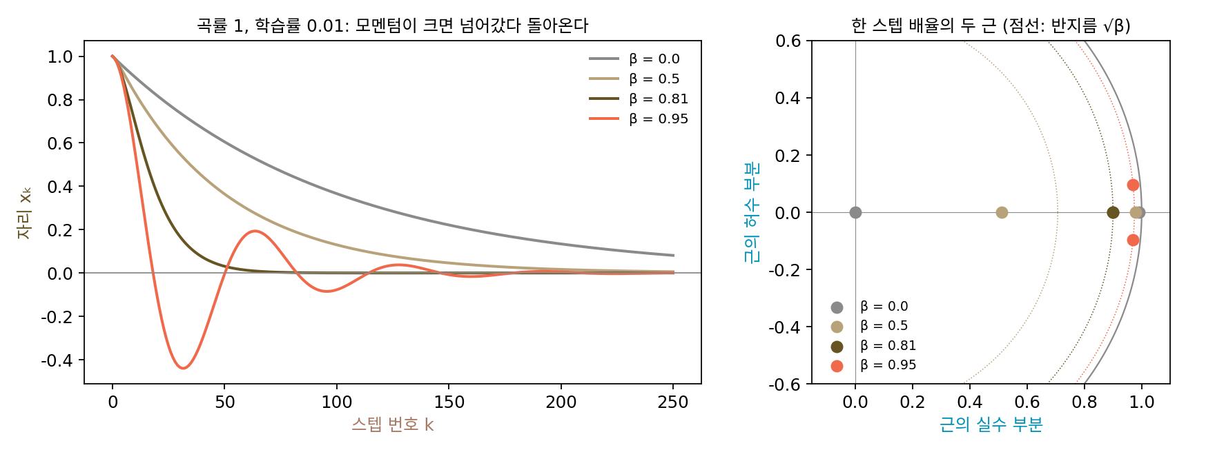 왼쪽: 곡률 1, 학습률 0.01 인 방향에서 모멘텀 계수 넷의 자리. 계수 0.81 은 넘어가지 않으면서 가장 빨리 닿고, 0.95 는 넘어갔다 돌아온다. 오른쪽: 같은 넷의 한 스텝 배율 두 근을 복소평면에 찍은 것. 실선 원은 크기 1, 점선 원은 반지름 √β. 0.95 의 두 근은 실수축을 떠나 점선 원 위에 앉는다(sources/momentum/figs.py)
