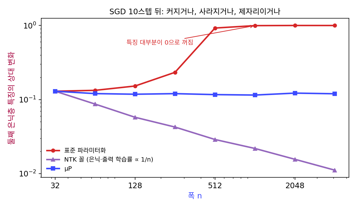 SGD 10스텝 뒤 둘째 은닉층 특징의 상대 변화(두 축 모두 로그 눈금). 표준 파라미터화는 커지다가 특징 대부분이 꺼지고, 은닉·출력층 학습률을 폭에 반비례로 줄인 신경 탄젠트 커널 꼴은 1/√n 으로 줄고, μP 는 폭과 상관없이 제자리다(sources/mup/s3_features.py)