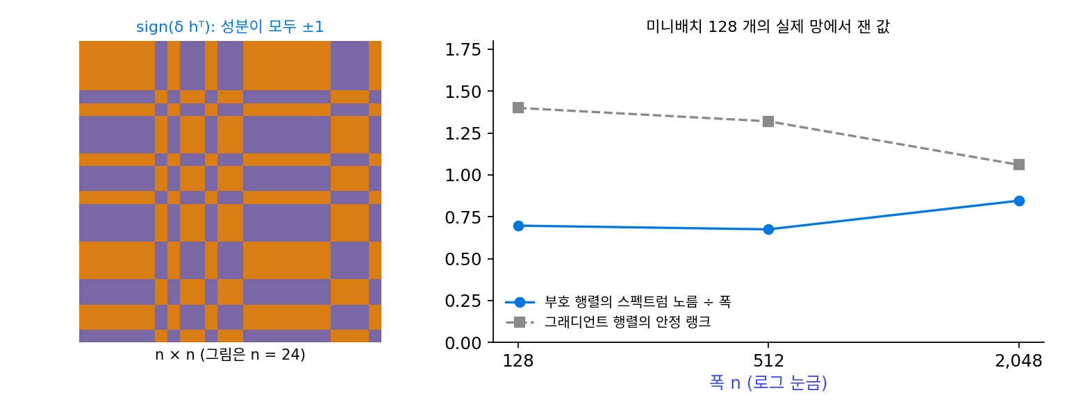 Adam 의 첫 업데이트에 쓰는 부호 행렬 sign(δhᵀ)(n = 24 로 줄여 그림)과, 미니배치 128 개인 실제 망에서 잰 부호 행렬의 스펙트럼 노름 ÷ 폭과 안정 랭크