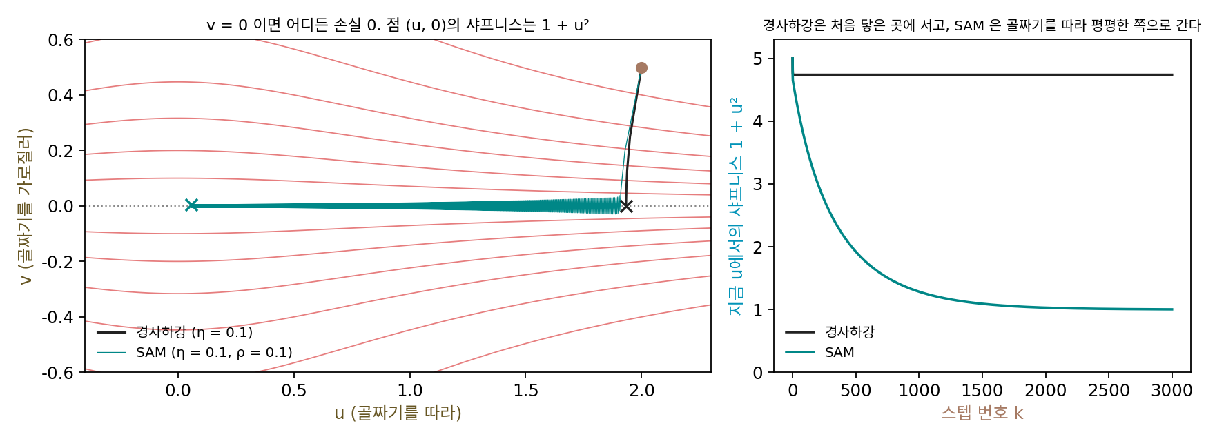 극소가 이어진 골짜기 f(u, v) = ½(1 + u²)v²에서 (2, 0.5)에서 출발한 경사하강(검정)과 SAM(청록, ρ = 0.1), 학습률 0.1, 3000스텝. 왼쪽: 경사하강은 처음 닿은 u = 1.93에 서고, SAM은 골짜기를 가로질러 오가며 골짜기를 따라 u = 0 쪽으로 흘러간다. 오른쪽: 스텝마다 지금 u에서 잰 샤프니스 1 + u²(sources/sharpness/s4_sam.py)